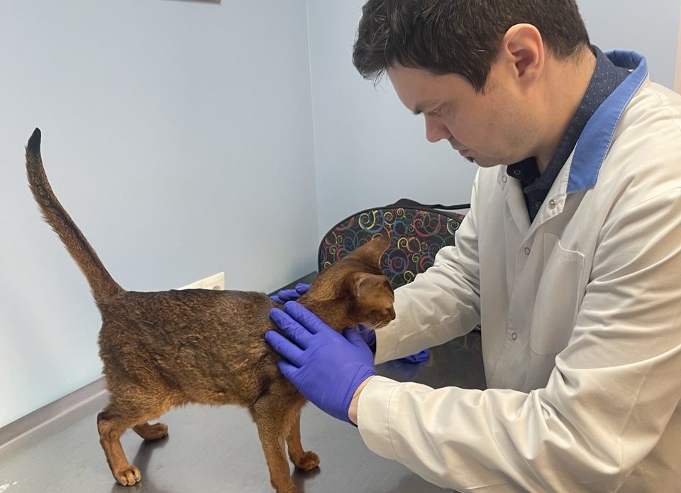 диагностический прием Максимова