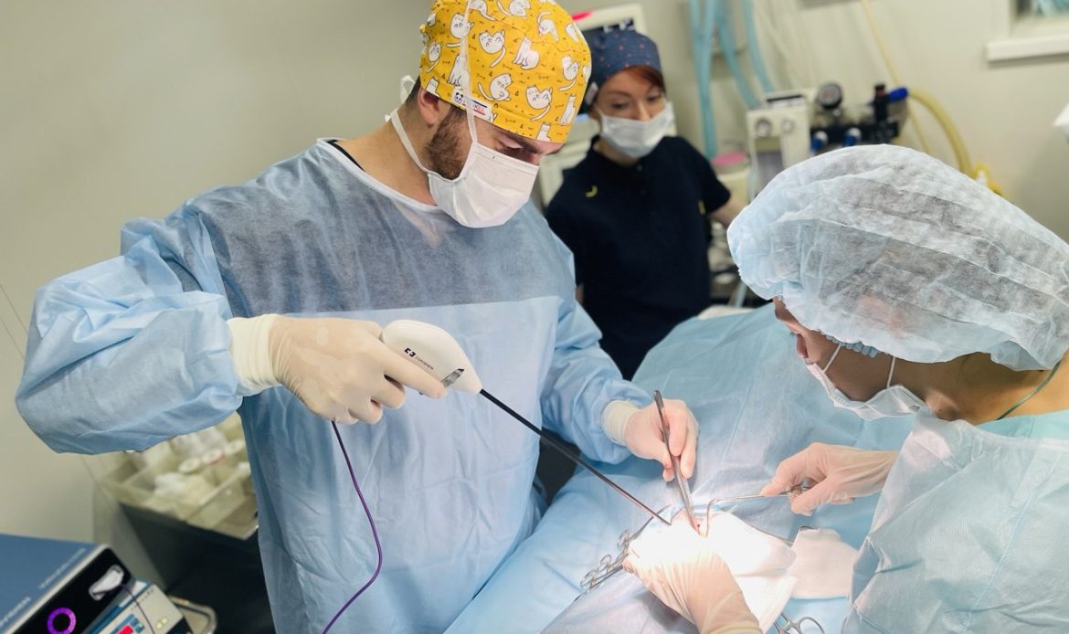 Лапароскоп ветеринарная хирургия