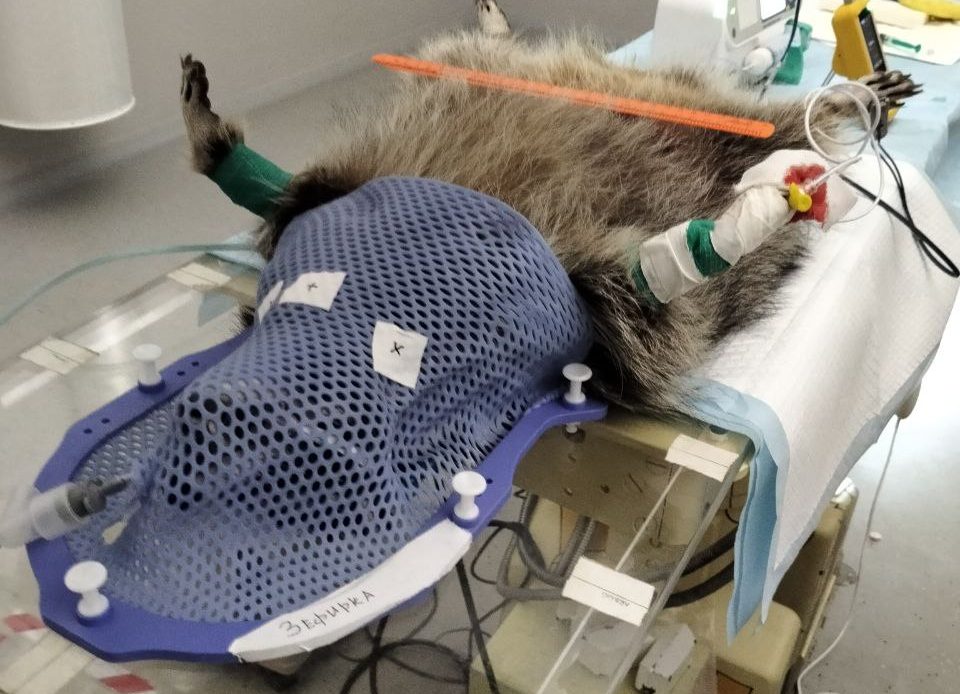 маска для лучевой