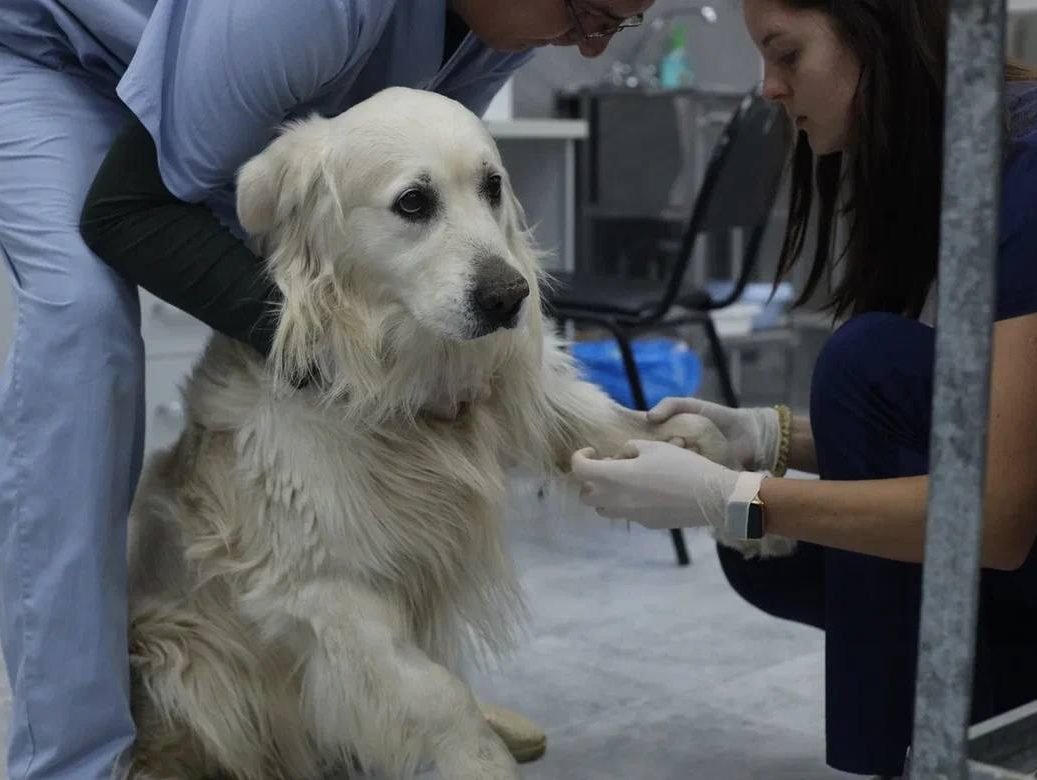 photo 2026 01 22 14 26 07