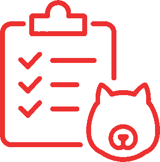 Диспансеризация