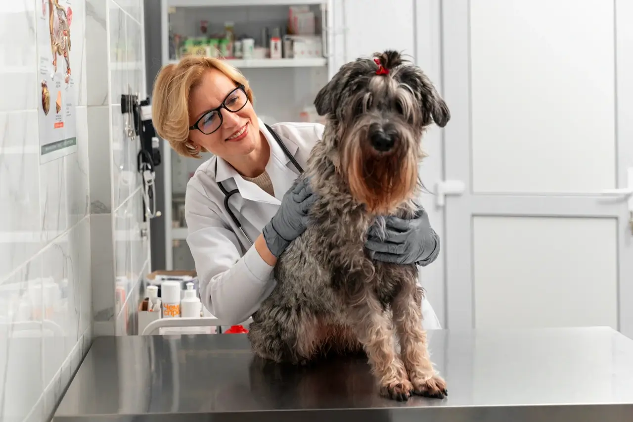 portfolio 3 portfolio 3