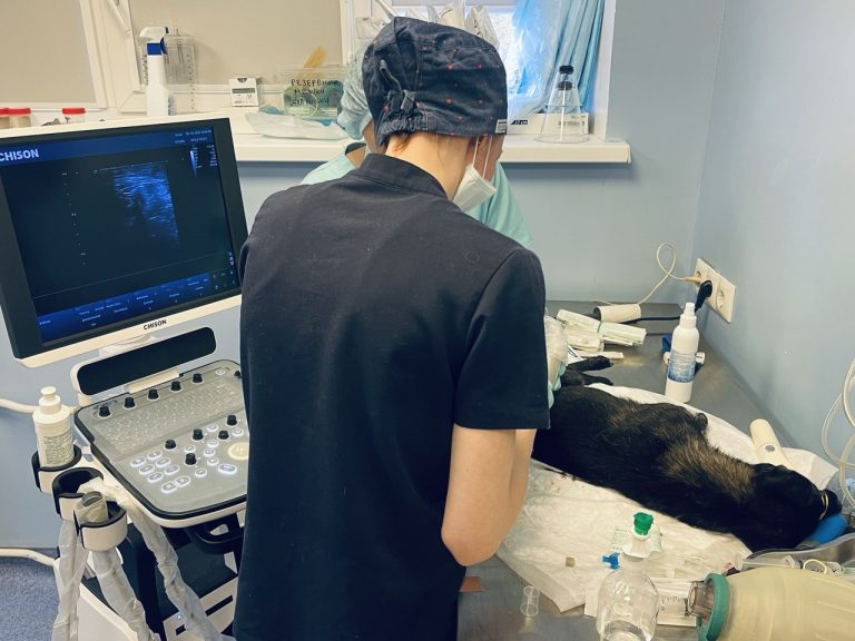 Анестезиолог готовит к операции