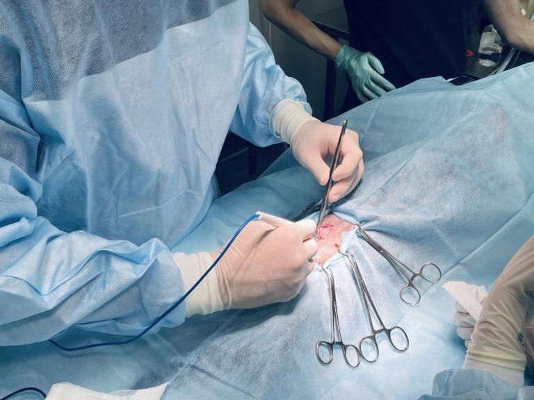 лапароскопическая овариэектомия