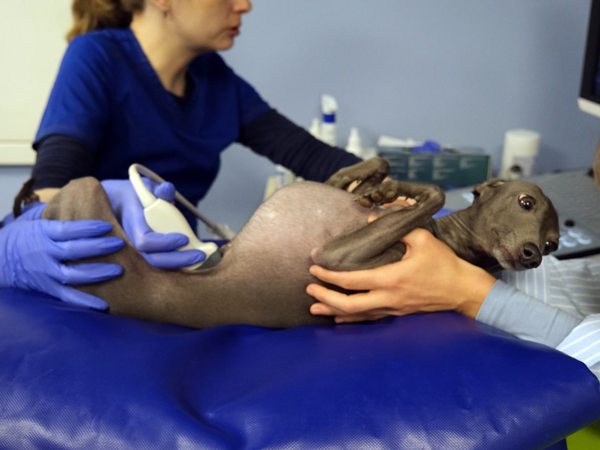 photo 2026 01 22 14 26 15