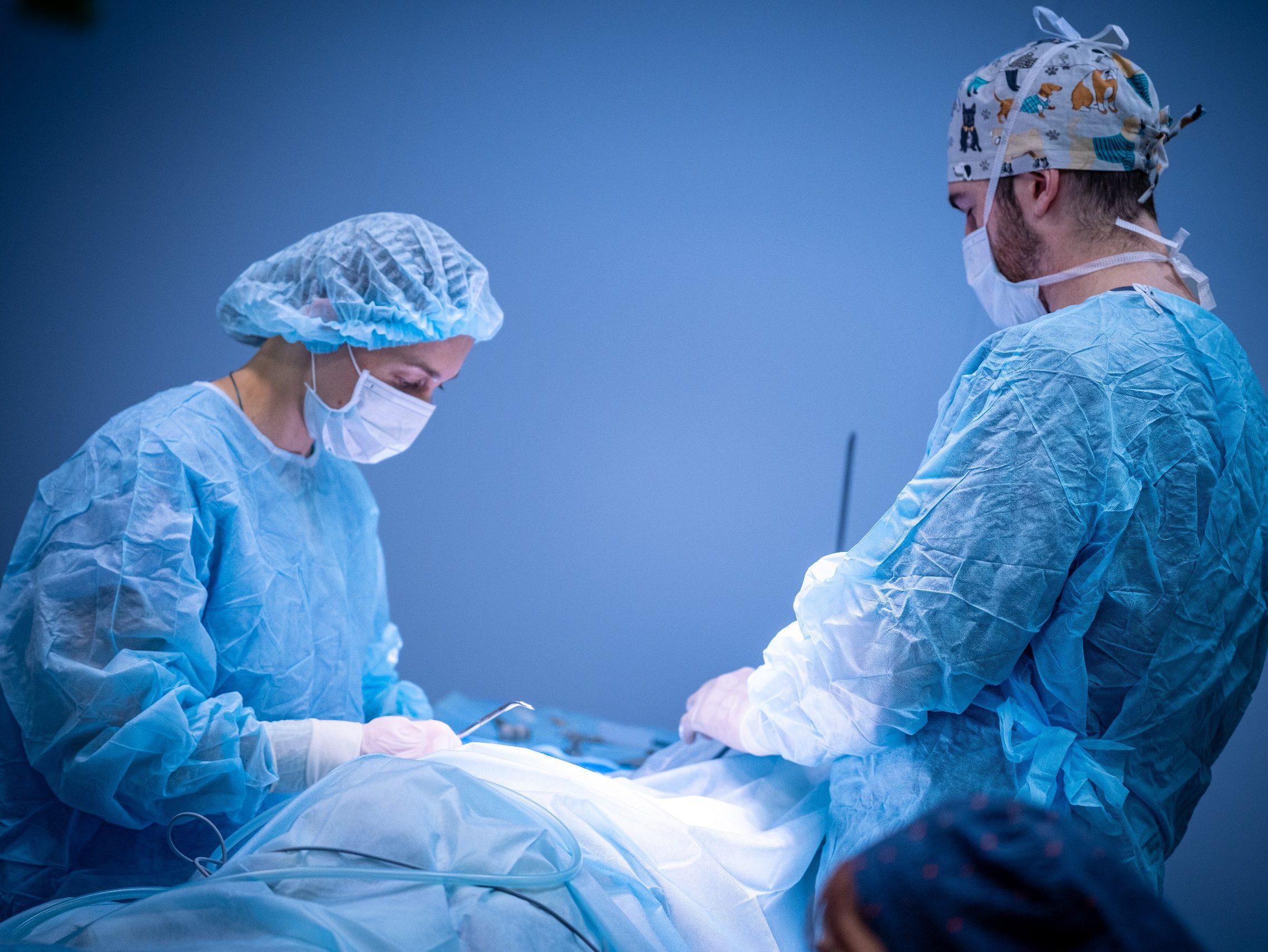 photo 2026 01 22 14 26 17