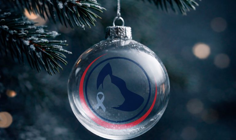 Новогодник шарик с логотипом ветклиники