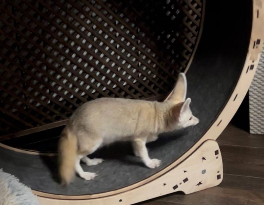 photo 2025 10 28 15 17 39