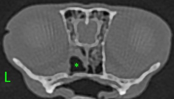 photo 2025 10 28 15 17 44