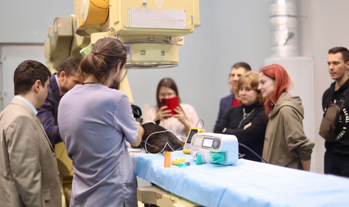 photo 2025 11 27 12 18 33