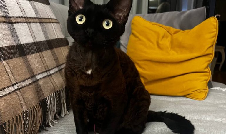 photo 2026 01 21 23 18 23