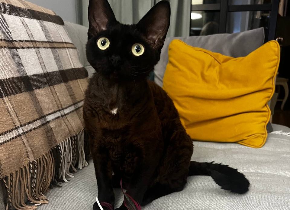 photo 2026 01 21 23 18 23