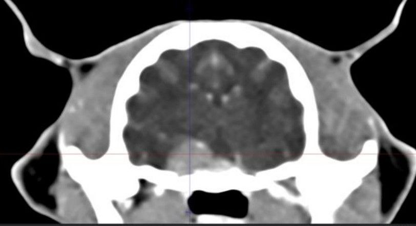 photo 2026 01 21 23 49 45 (2)