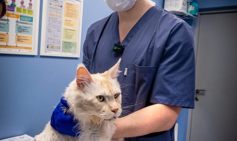 photo 2026 01 27 08 01 37