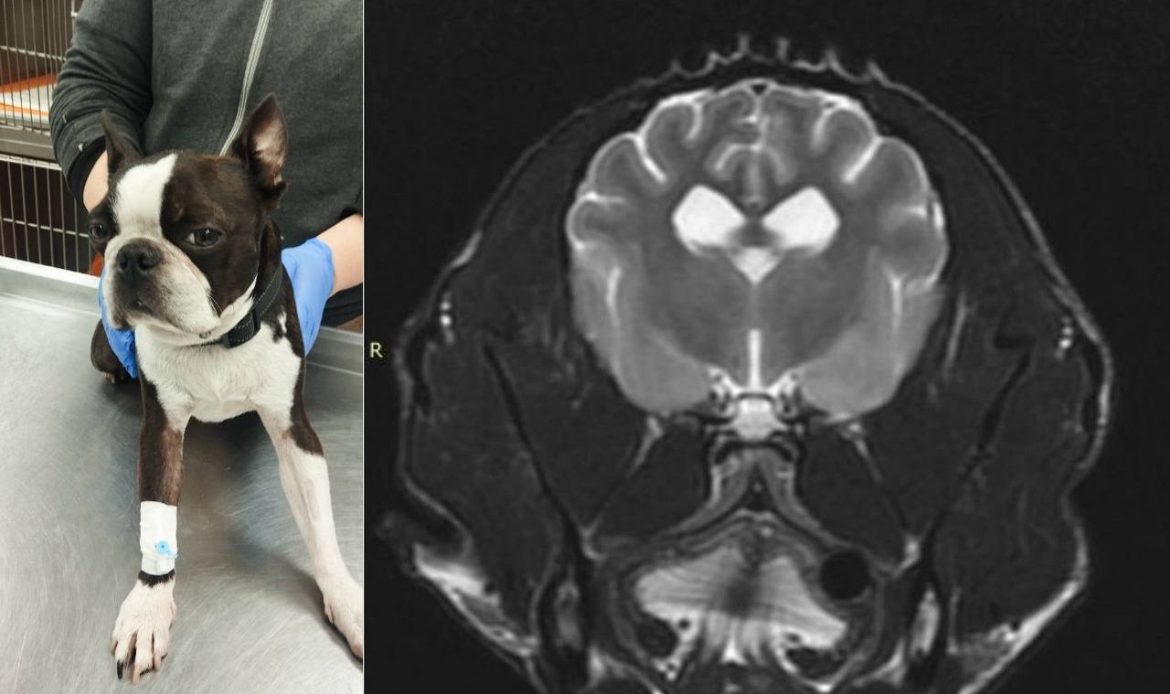 photo 2026 01 27 08 02 47