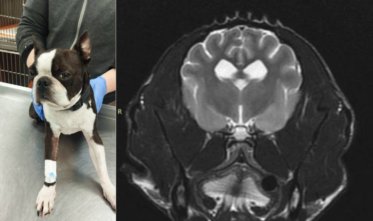 photo 2026 01 27 08 02 47