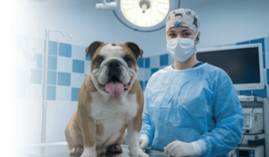 Фон для слайдера mrrc