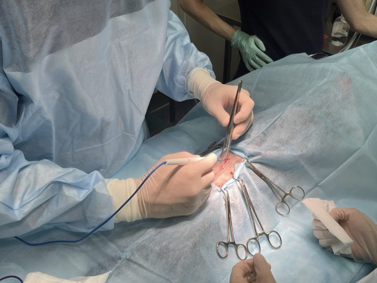 микрохирургическая ветеринария