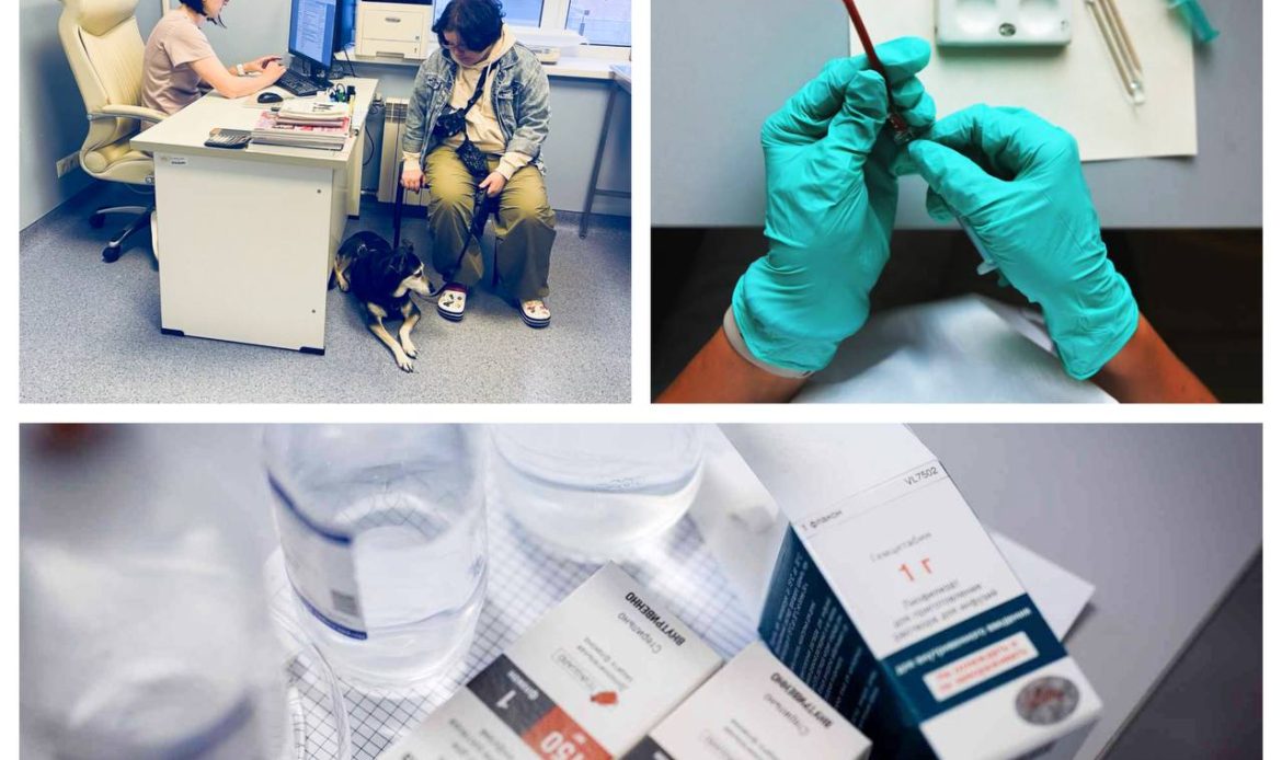 photo 2026 02 25 09 07 47