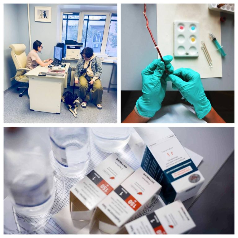 photo 2026 02 25 09 07 47