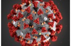Что надо знать о коронавирусе