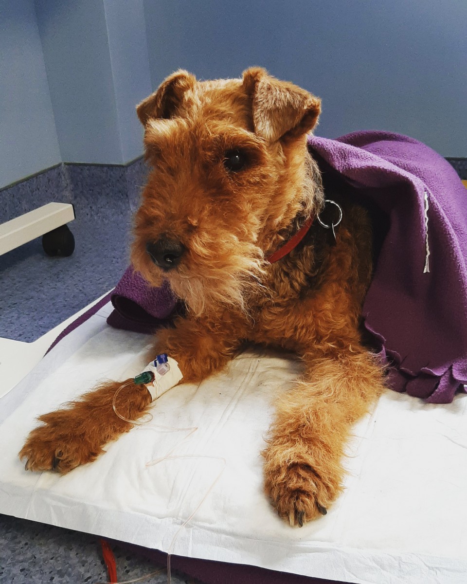 Химиотерапия