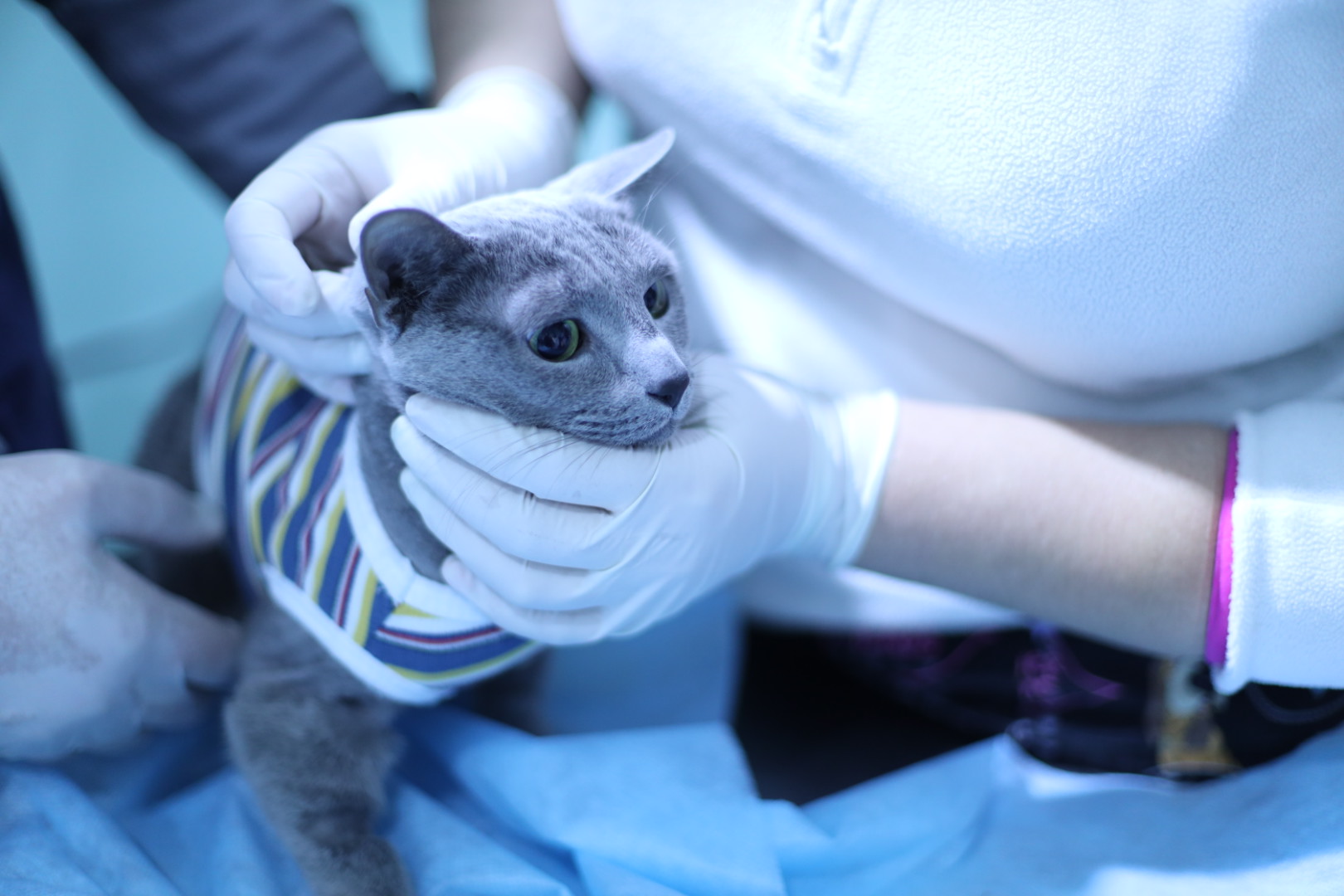 Показания для проведения лучевой терапии