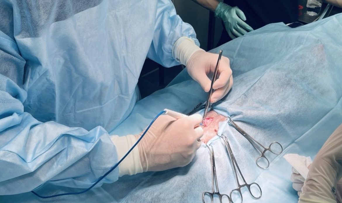 Стер и кастрация 2