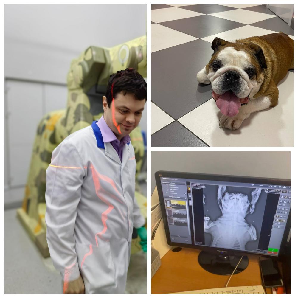 вопрос ответ рубрика ветеринарка