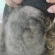 IMG 0842