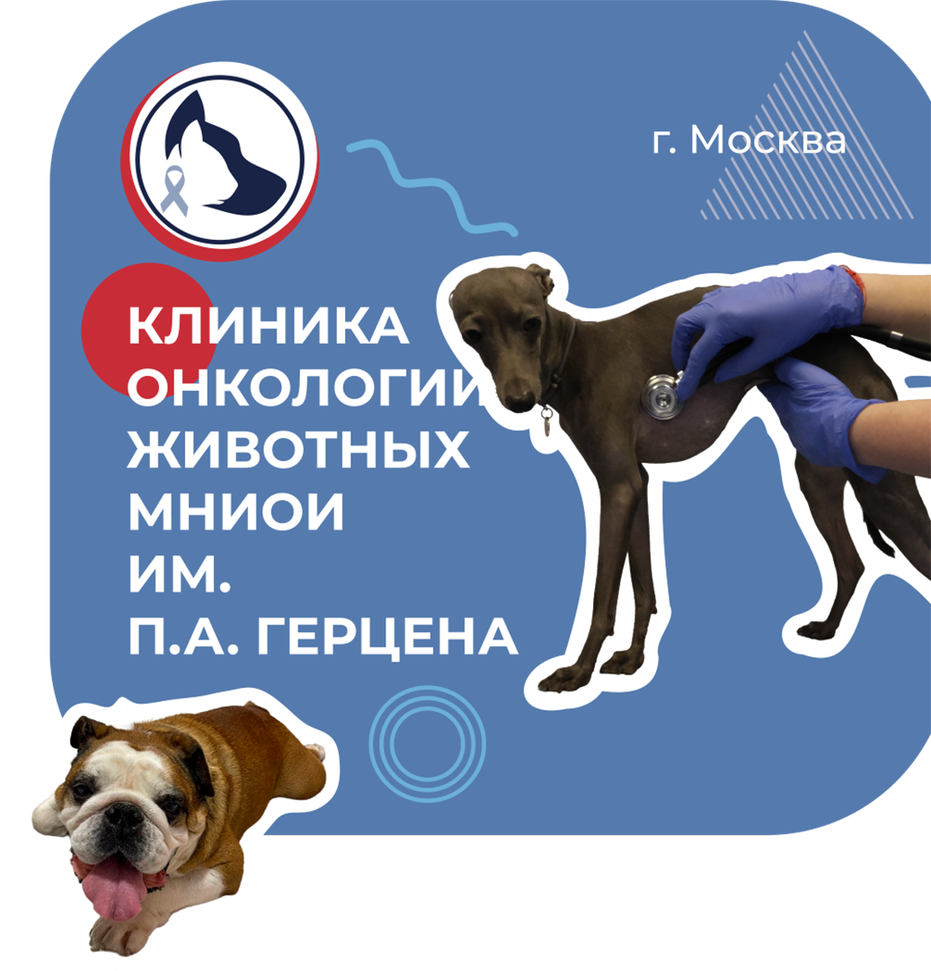 mnioi