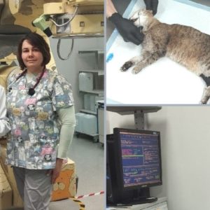 Неоперабельный плоскоклеточный рак верхней челюсти