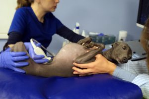 Диагностика