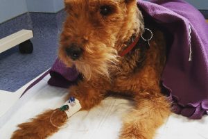 Химиотерапия