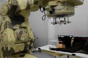 Лучевая терапия