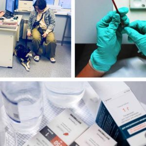 Индивидуальная химиотерапия для вашего питомца