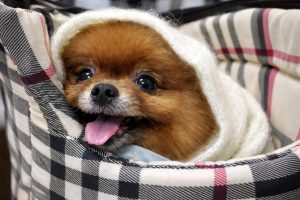 Прием и консультация