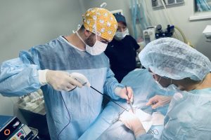 Стерилизация и кастрация1