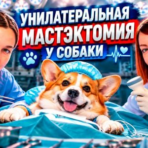 UMOFJPU0IC96iHgvBeYp oj2RMmj VogMv9L R27ouDojvRL5I ZMI3vAHdLbXuinpiZfoaJeuc nDomEDGj79bKeVNwVQ